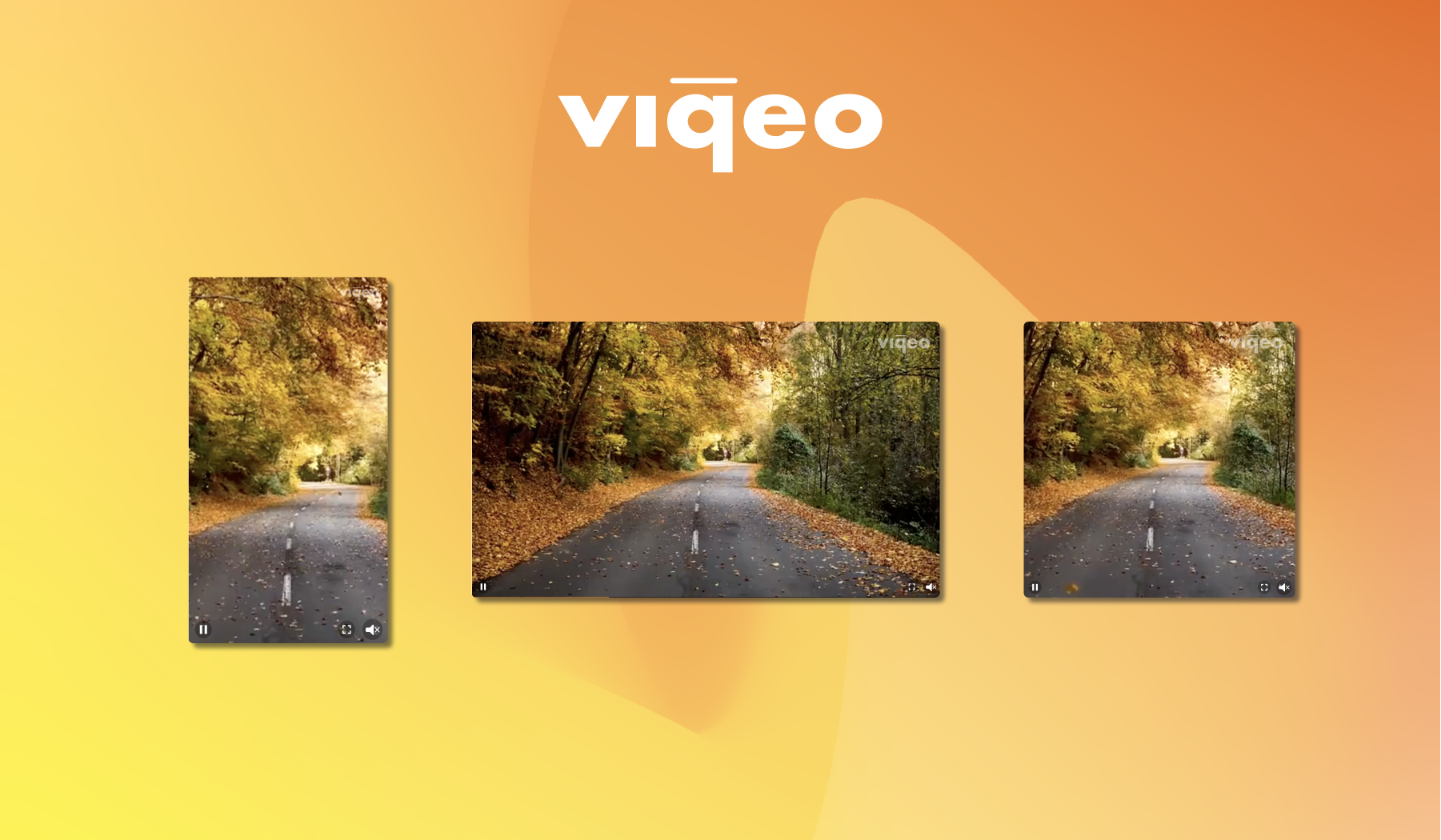 Viqeo vertical horizontal square video player